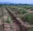 Un "Campo della Gioventù"