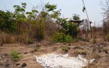 Un "Campo della Gioventù"