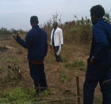 Un "Campo della Gioventù"