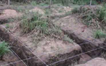 Un "Campo della Gioventù"